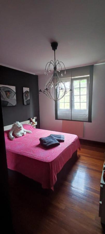 Nala House, Acogedor,Bien Comunicado,Aparcamiento Gratis En La Calle 毕尔巴鄂 外观 照片